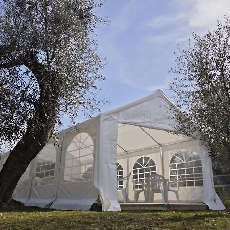 Appartamento Alba Dachi Farm Marina dʼMarina dʼAndora 外观 照片