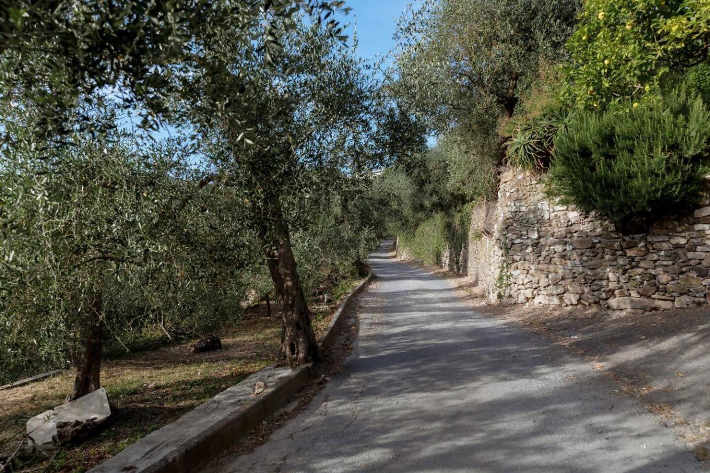 Appartamento Alba Dachi Farm Marina dʼMarina dʼAndora 外观 照片