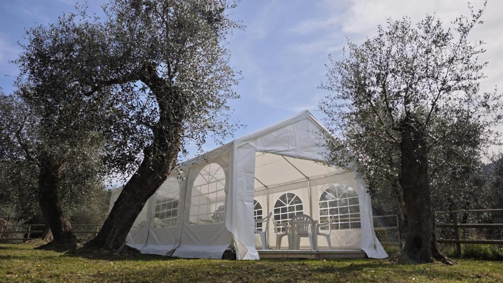 Appartamento Alba Dachi Farm Marina dʼMarina dʼAndora 外观 照片