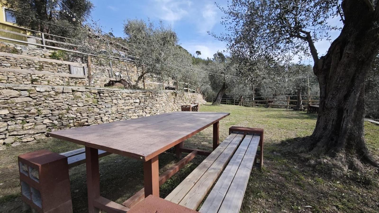 Appartamento Alba Dachi Farm Marina dʼMarina dʼAndora 外观 照片