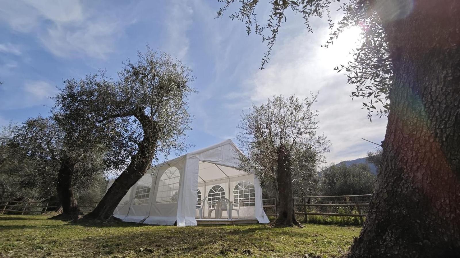 Appartamento Alba Dachi Farm Marina dʼMarina dʼAndora 外观 照片